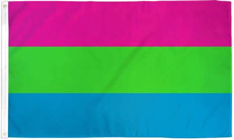 Polysexual Pride Flag 3x5 Johnnie Brocks