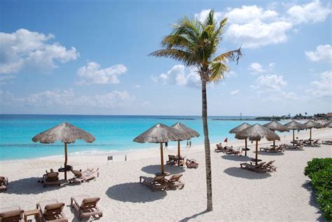 Palladium Launches New Resorts in Cancun | TravelPulse