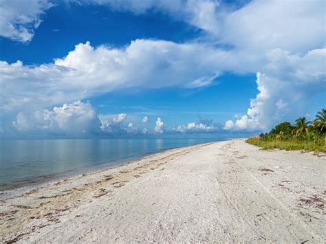 Best Florida Beaches For Families To Relax And Unwind