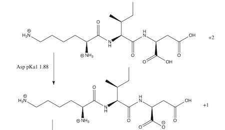 Draw the structure of the (KID) tripeptide and calculate its ...