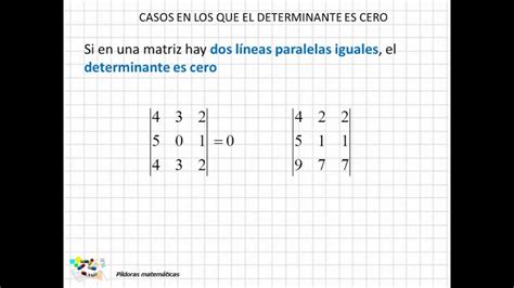 El Determinante Igual A Cero Qu Significa Y Por Qu Es Crucial