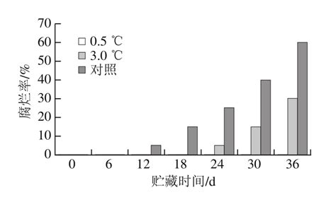 不同贮藏温度对采后伽师瓜果实冷害及品质的影响