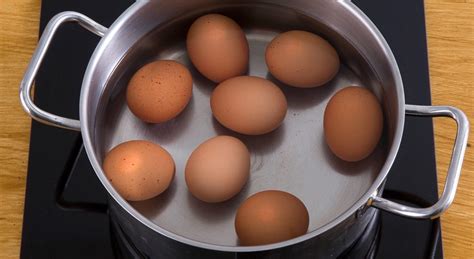 Hétero ator pornô gay homofóbico anuncia que voltará a fazer filmes Pheeno