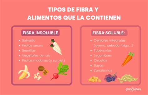 Descubre Los Mejores 10 Alimentos Ricos En Fibra Insoluble Para Tu