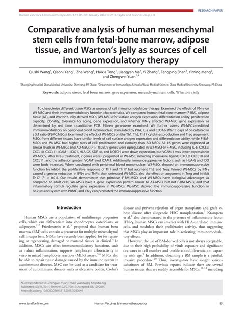 Pdf Comparative Analysis Of Human Mesenchymal Stem Cells From Fetal