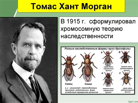 Генетика как наука - презентация онлайн