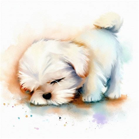 Retrato em aquarela de serenidade pastel de um cachorrinho maltês