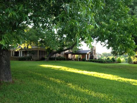 Top East Texas Farm Auctions - Truth or Fiction