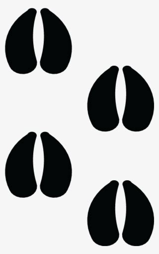 Sheep Footprint Graphic Design Png Image Transparent Png Free