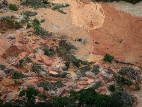 Onu L Der Yanomami Denuncia Invas O Do Garimpo Estupro Doen As E A