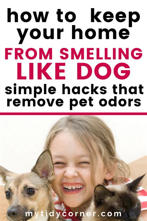 How To Remove Pet Smells From Your Home Easy Odor Removal Solutions