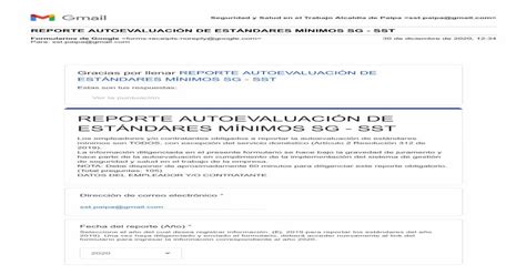 EstÁndares MÍnimos Sg Sst Reporte AutoevaluaciÓn De Pdf Document