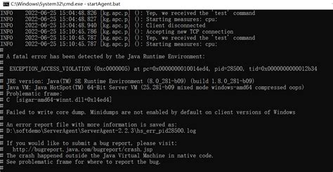 Jmeter压测server Agent报错：failed To Write Core Dump Minidumps Are Not Enabled By Default On Client