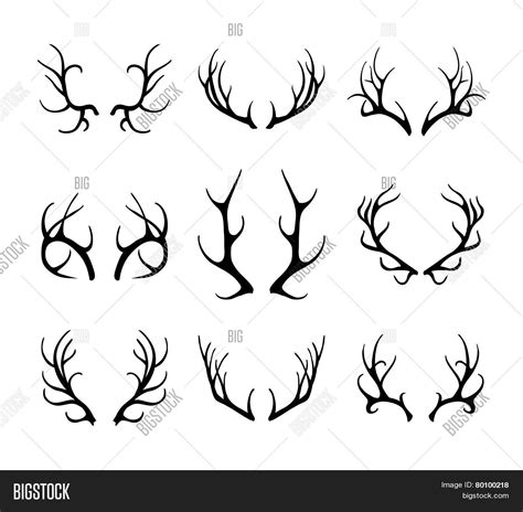 Vector Deer Antlers Vector And Photo Free Trial Bigstock