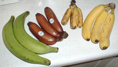 bananne wikipedia