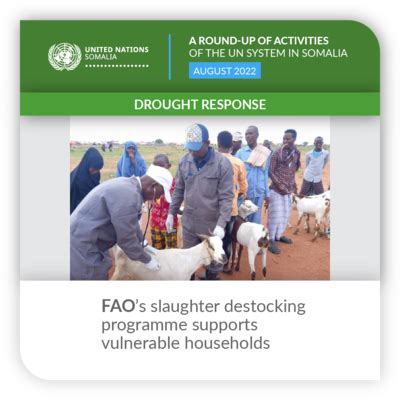 A round-up of activities of the UN system in Somalia in August 2022 | UNSOM