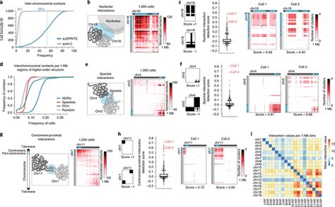 Scsprite Identifies Inter Chromosomal Structures Genome Wide In