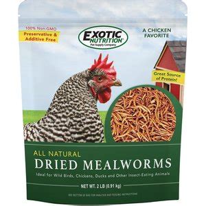 Exotic Nutrition Live Mealworms Reptile Food Giant Count Chewy