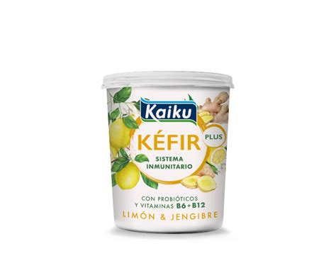 Kaiku Kéfir Plus Natural 4x125g