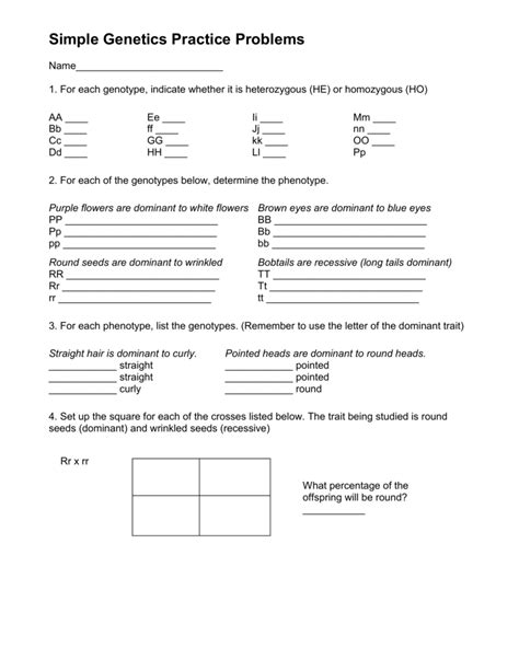 Simple Genetics Practice Problems Answer Key Genetics Practi