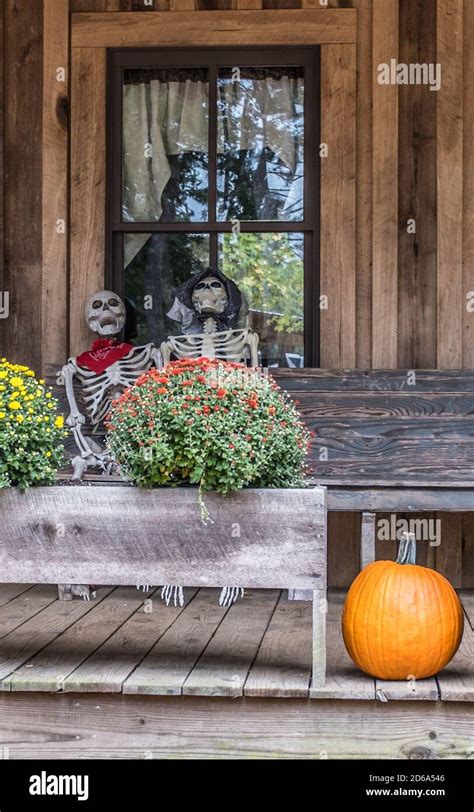 Skeleton sitting on bench hi-res stock photography and images - Alamy