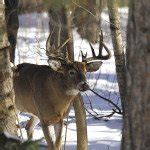 Lake Superior Storms | Northern Wilds Magazine