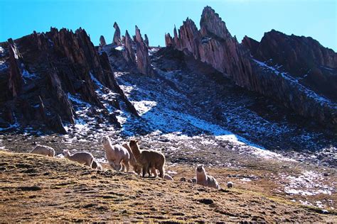 The New Rainbow Mountain Of Palcoyo Light Route With Peru Vip