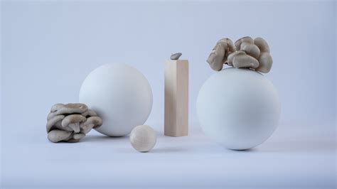 Мнемотехника для начинающих: упражнения для запоминания