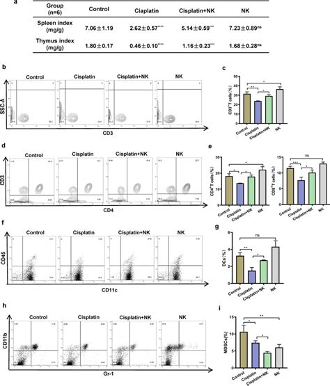 NK cells relieved immune organ damage and improved immune cell ...