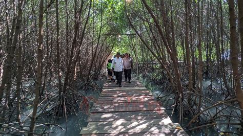 Pemkab Rembang Siapkan Rp Miliar Untuk Wisata Jembatan Merah Hutan