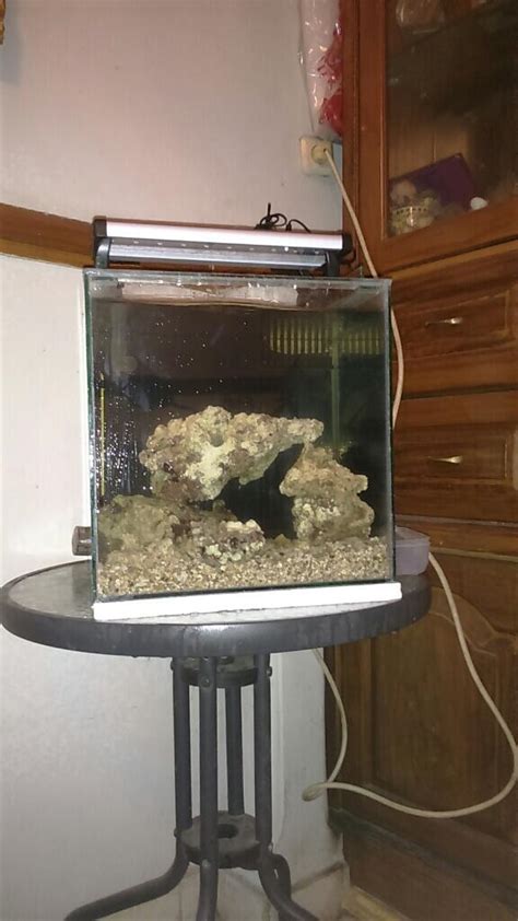 Skimmer Untuk Aquarium Ukuran 35 | KASKUS