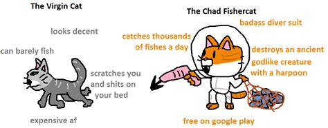 Virgin cat vs chad Fishercat : r/virginvschad