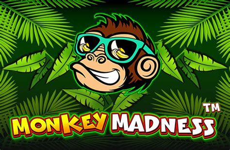 Monkey Madness Review 🥇 (2024) - RTP & Free Spins