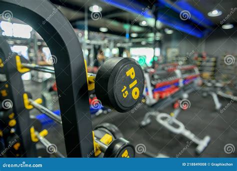 Equipment in Gym for Workout and Bodybuilding. Stock Photo - Image of ...