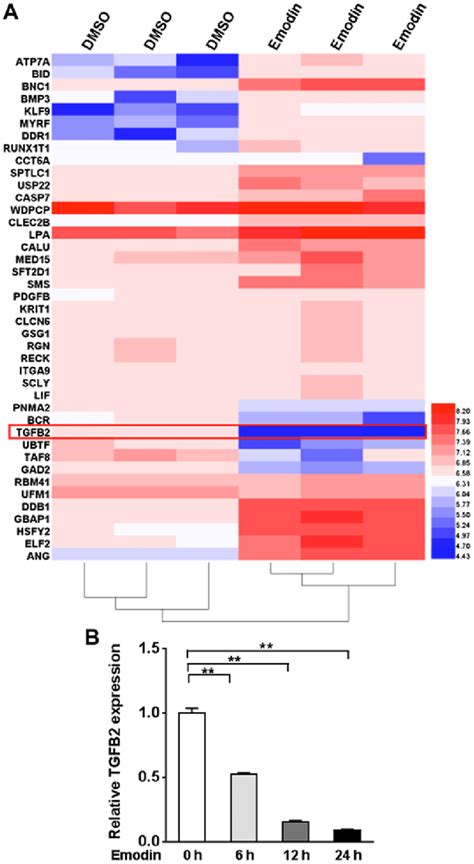 Emodin Induces The Downregulation Of Tgf β2 In Ovarian Cancer A