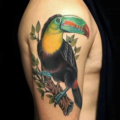тату ескізи "Тукан" | VeAn Tattoo