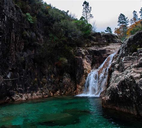 Fotos De Melga O Imagens E Fotografias