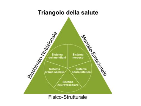 Il Triangolo Della Salute Luca Ottani Osteopata D O M R O I