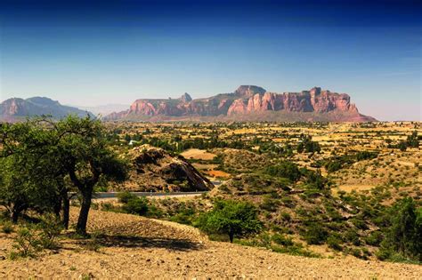 Tough times for tenacious Tigray - The Spectator World