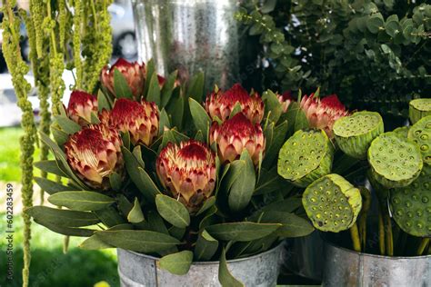 Colorful protea bouquet with vibrant pink and green blooms. Tropical ...