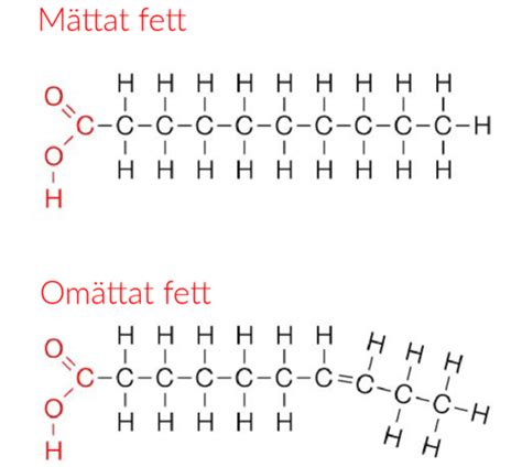 Biomolekyl Flashcards Quizlet