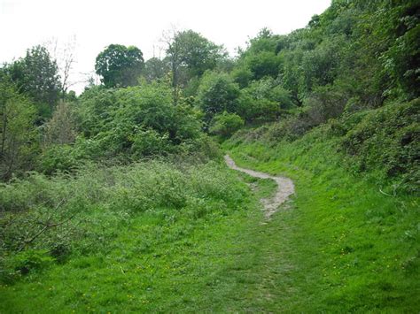 Woodland Clearing Jim Smillie Geograph Britain And Ireland