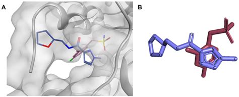 A The Binding Mode Of Compounds X Pink And X Blue Aligned