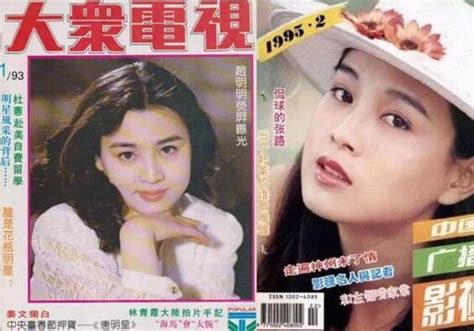 他是90年代內地最仙兒的美女，因感情30歲息影，而今孤身一人 每日頭條