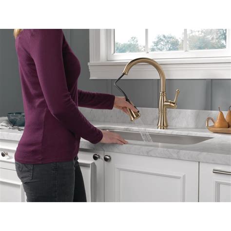 Delta Cassidy Kitchen Faucet Bronze | Dandk Organizer