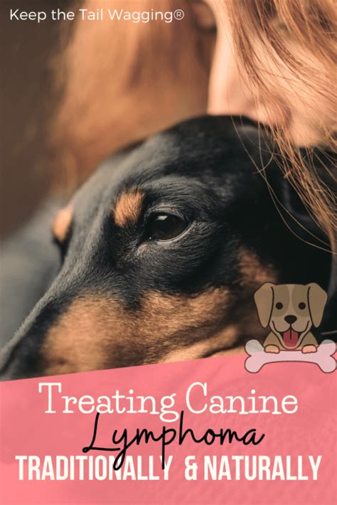 Treating Canine Lymphoma Traditionally and Naturally | Keep the Tail ...