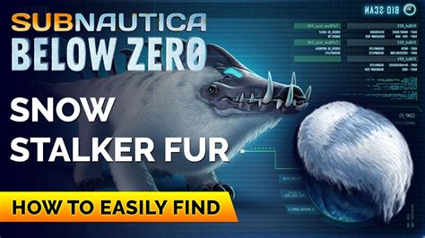 How To Get Snow Stalker Fur Subnautica Below Zero Youtube