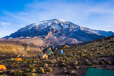 Healthy And Safety Tanzania Joy Tours I Kilimanjaro Climb I Safari