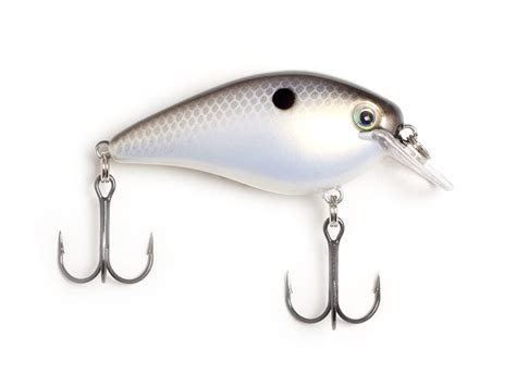 Strike King Square Bill Crankbait Karl S Bait Tackle