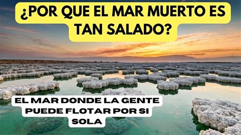 Por Que El MAR MUERTO Es Tan Salado Sabias Que Puedes FLOTAR